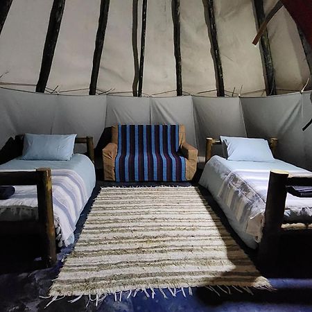 Tsitsikamma Wolf Sanctuary Eco Cabins & Teepees Stormsrivier Exterior foto