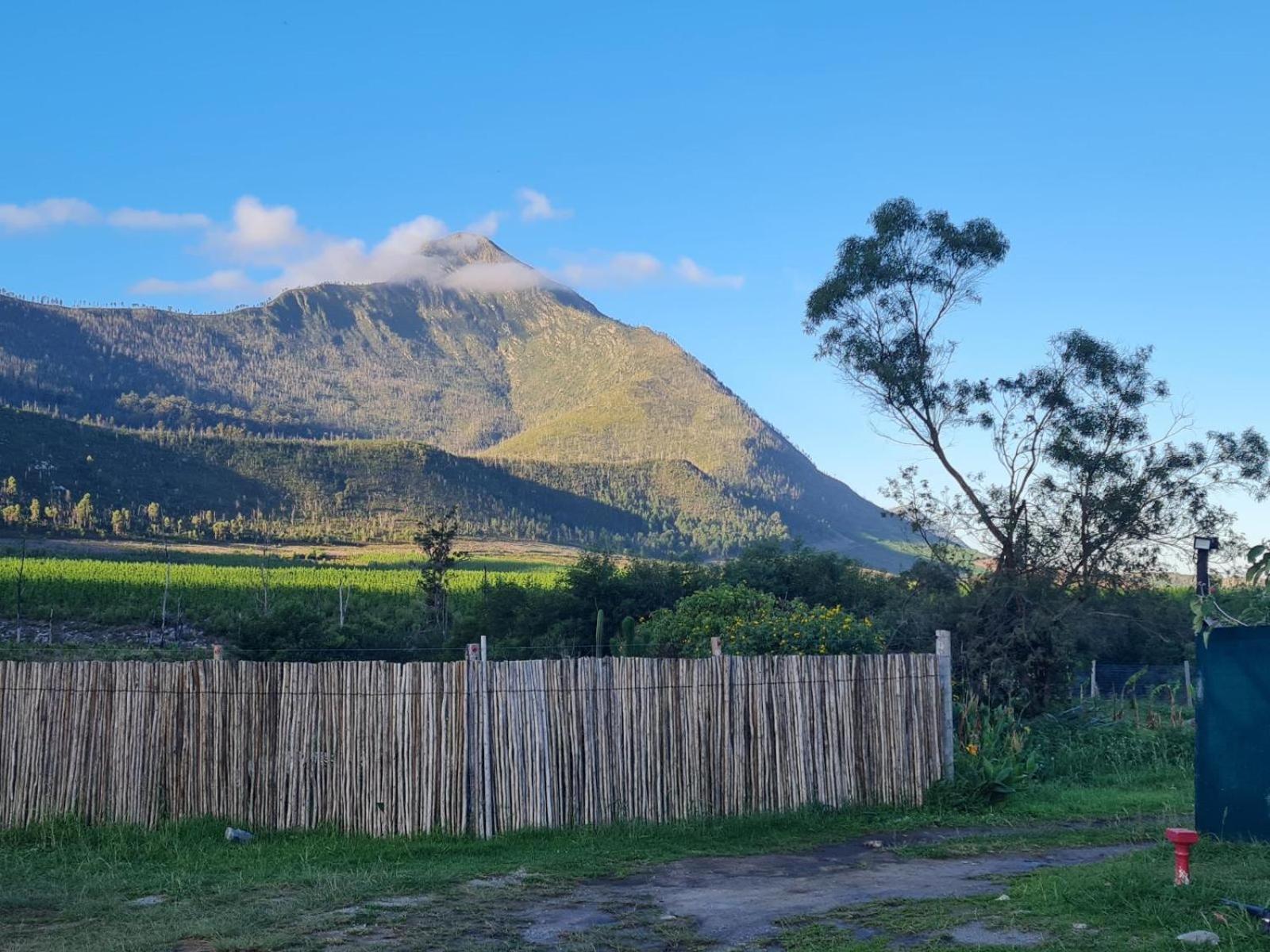 Tsitsikamma Wolf Sanctuary Eco Cabins & Teepees Stormsrivier Exterior foto