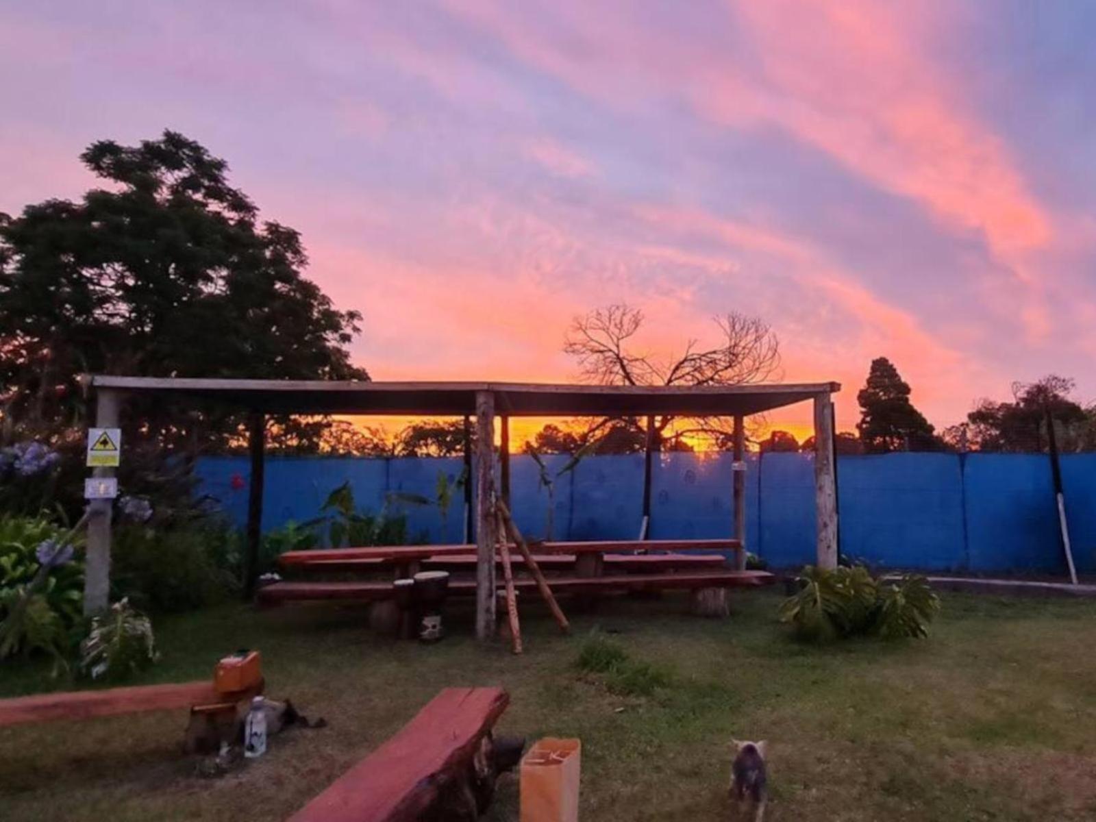 Tsitsikamma Wolf Sanctuary Eco Cabins & Teepees Stormsrivier Exterior foto