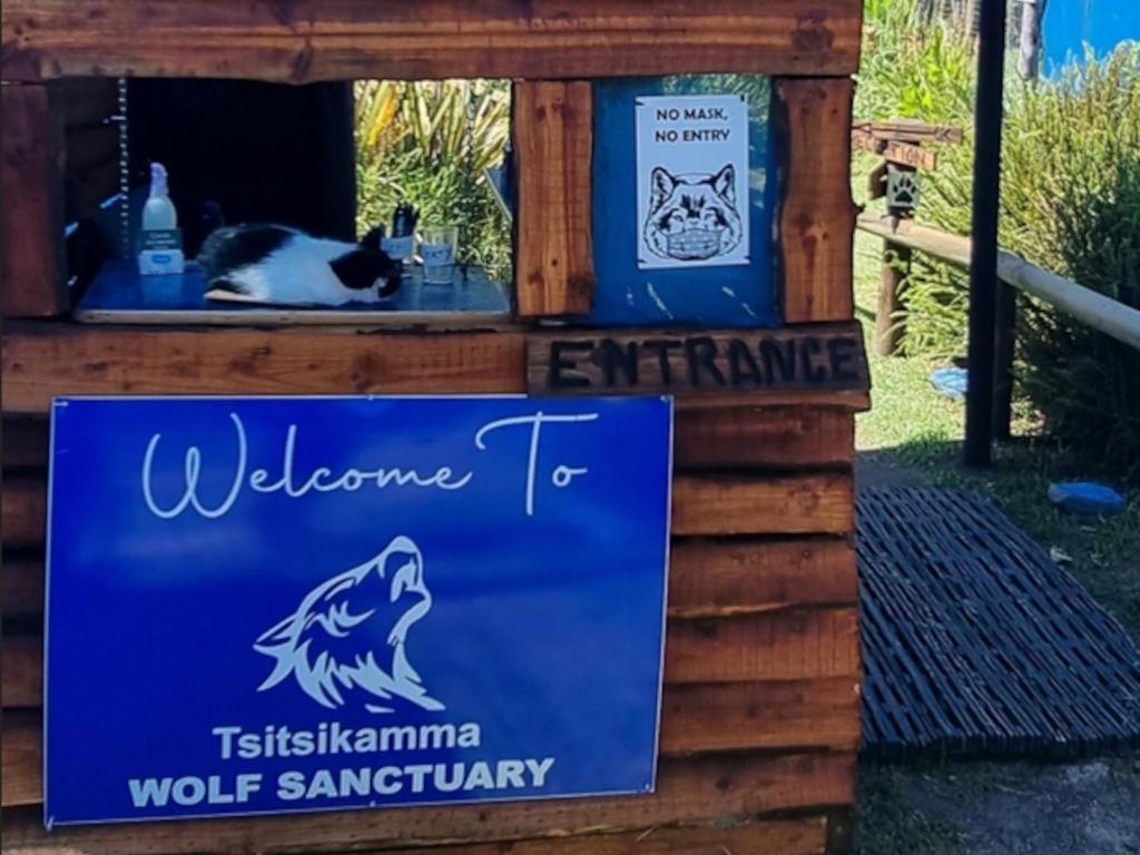 Tsitsikamma Wolf Sanctuary Eco Cabins & Teepees Stormsrivier Exterior foto