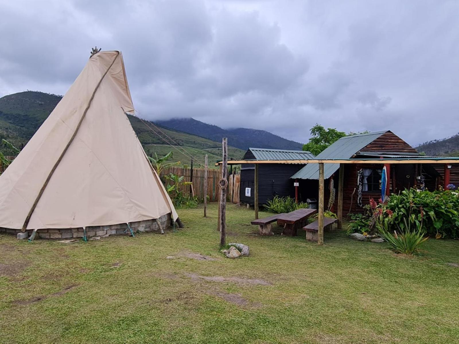 Tsitsikamma Wolf Sanctuary Eco Cabins & Teepees Stormsrivier Exterior foto