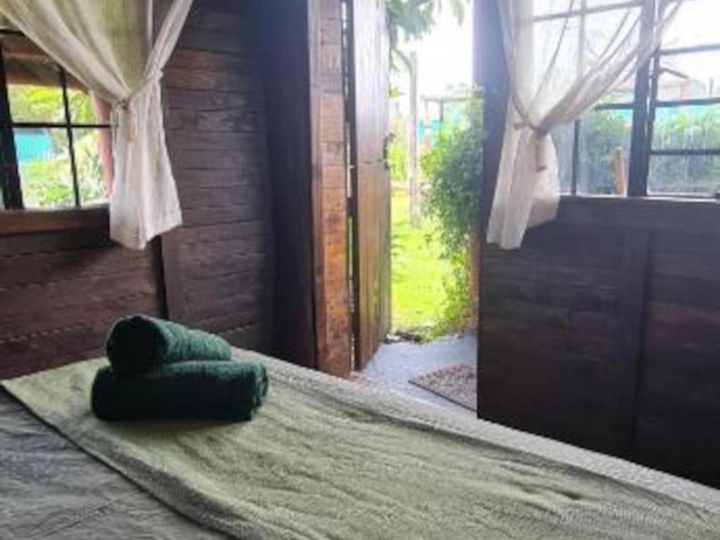 Tsitsikamma Wolf Sanctuary Eco Cabins & Teepees Stormsrivier Quarto foto