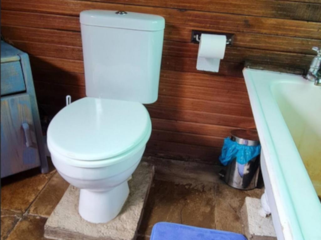 Tsitsikamma Wolf Sanctuary Eco Cabins & Teepees Stormsrivier Quarto foto