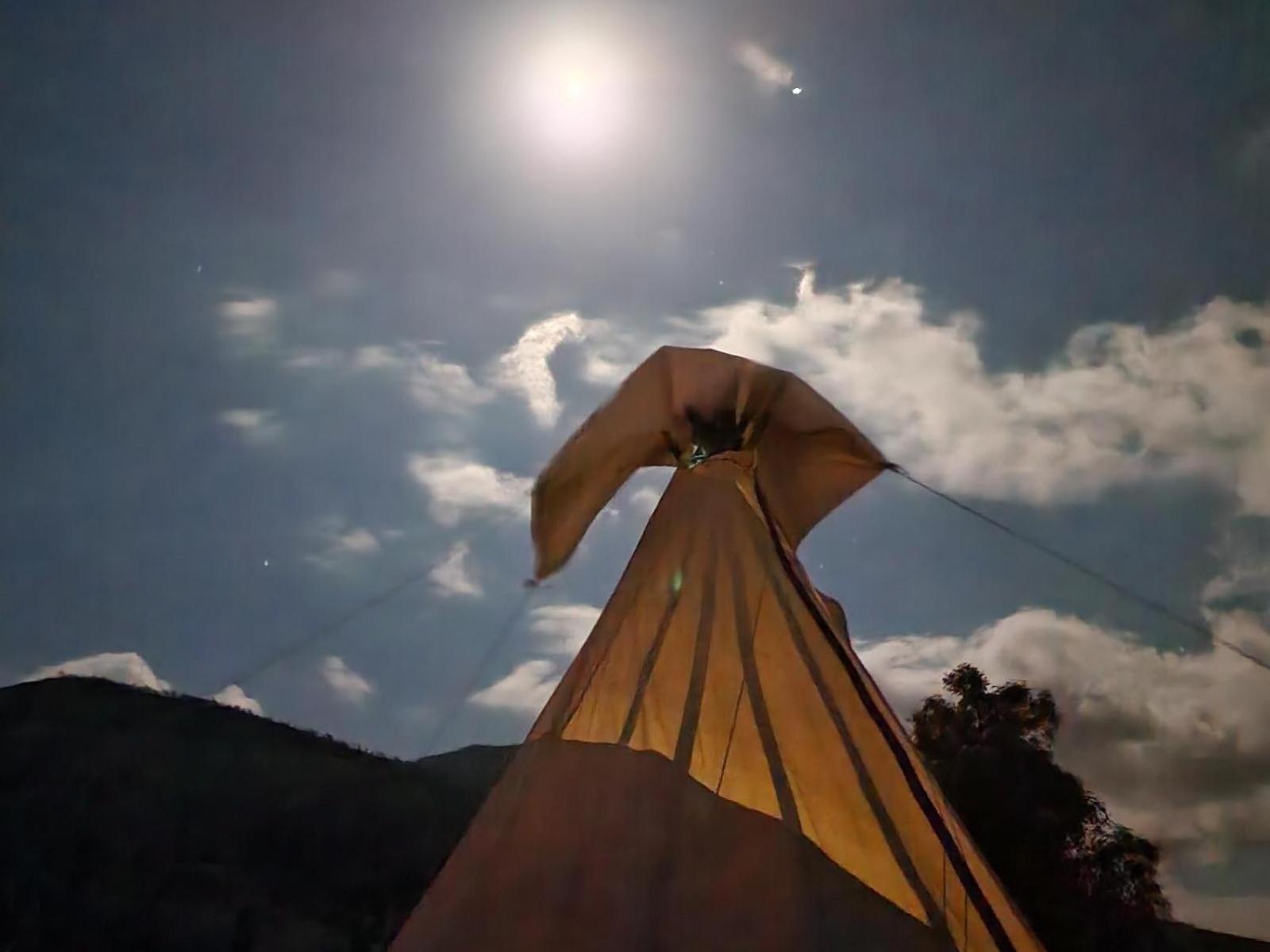 Tsitsikamma Wolf Sanctuary Eco Cabins & Teepees Stormsrivier Quarto foto