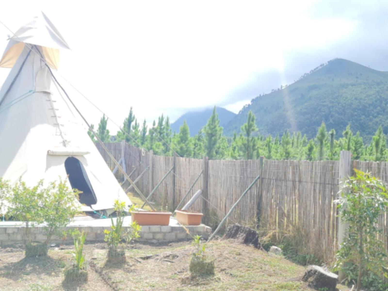 Tsitsikamma Wolf Sanctuary Eco Cabins & Teepees Stormsrivier Quarto foto