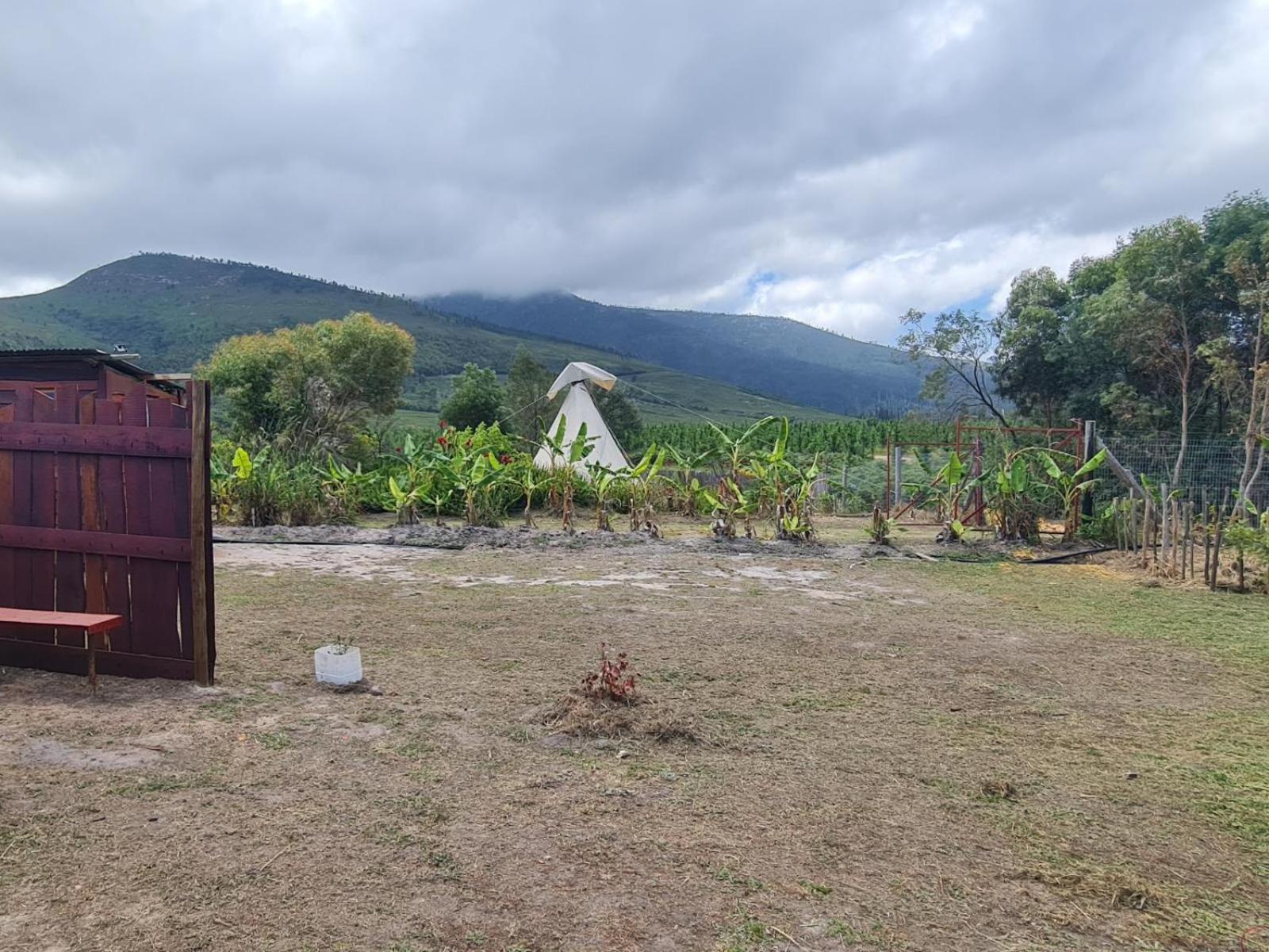 Tsitsikamma Wolf Sanctuary Eco Cabins & Teepees Stormsrivier Quarto foto